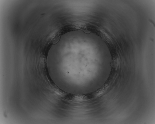 X0000093170757200709261528