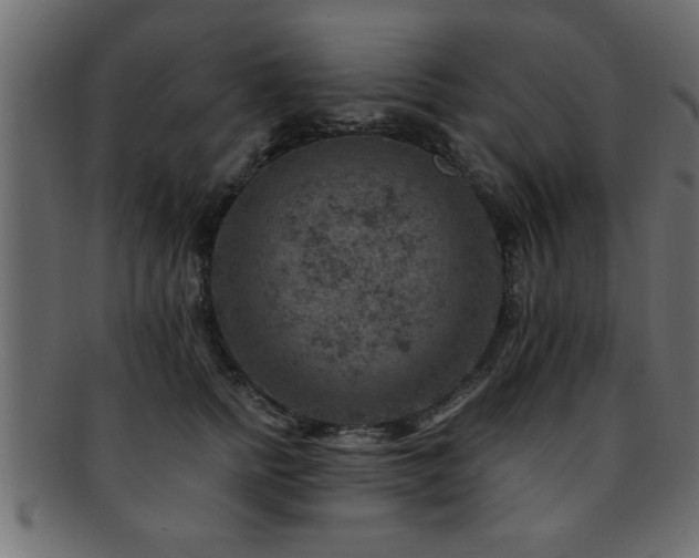 X0000093170758200709261528