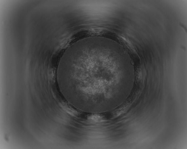 X0000093170759200709261528