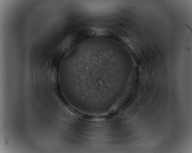 X0000093170760200709261528