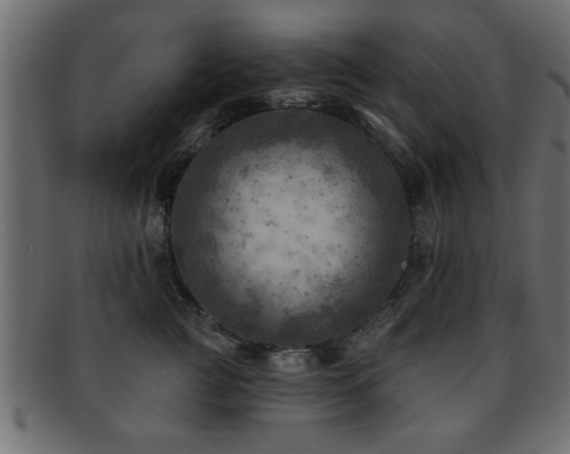 X0000093170761200709261528