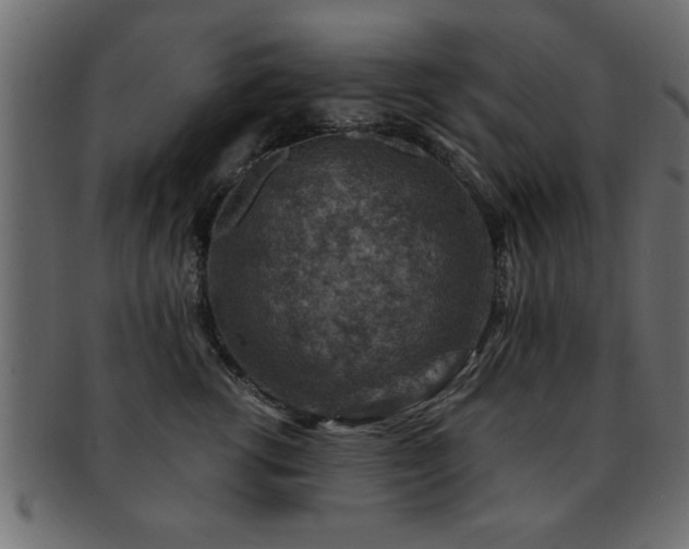 X0000093170762200709261528