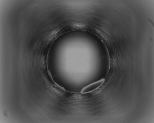 X0000093170764200709261528