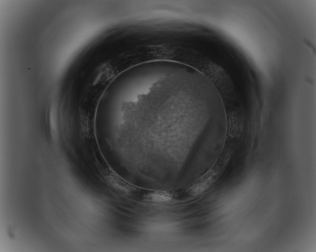 X0000093170765200709261528