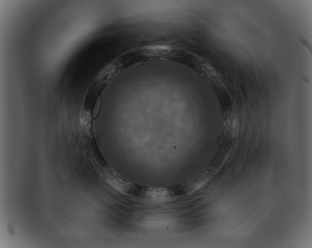 X0000093170767200709261528