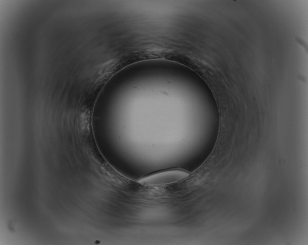 X0000093170768200709261528