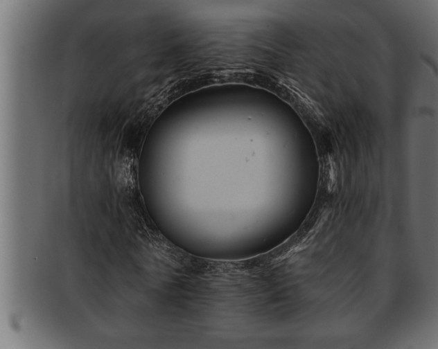 X0000093170770200709261527