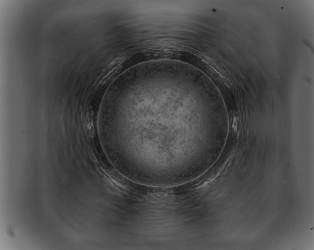 X0000093170771200709261527