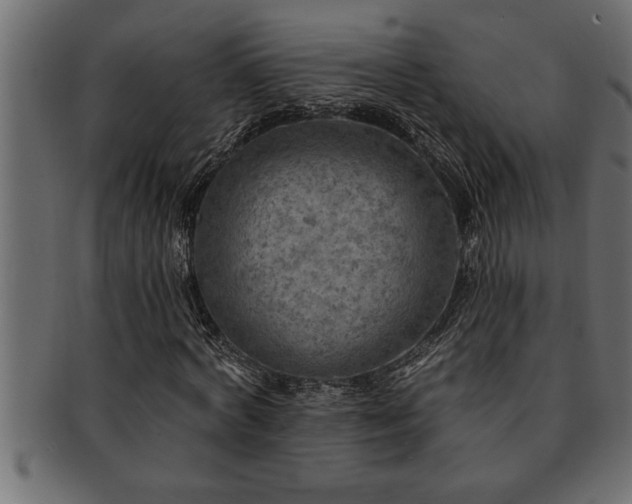 X0000093170772200709261527