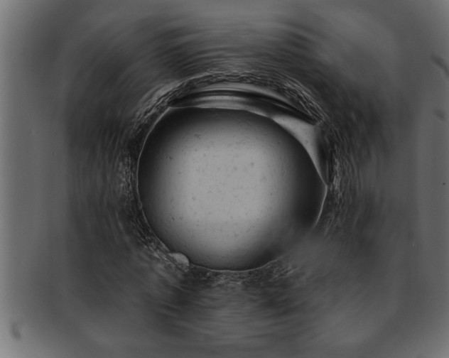 X0000093170773200709261527