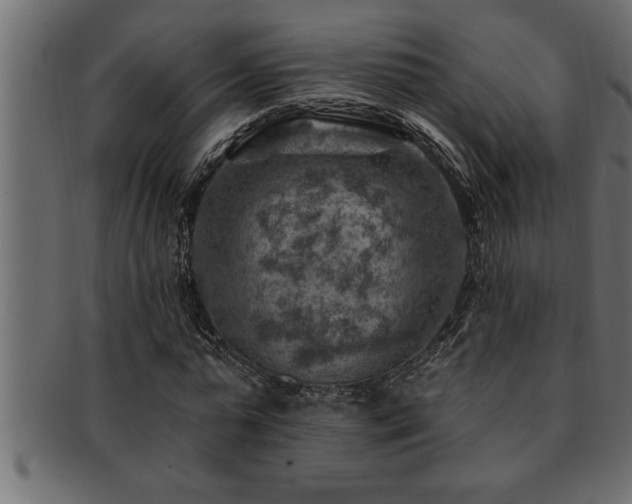 X0000093170775200709261527