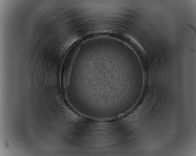 X0000093170777200709261527