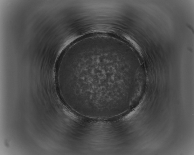 X0000093170779200709261527