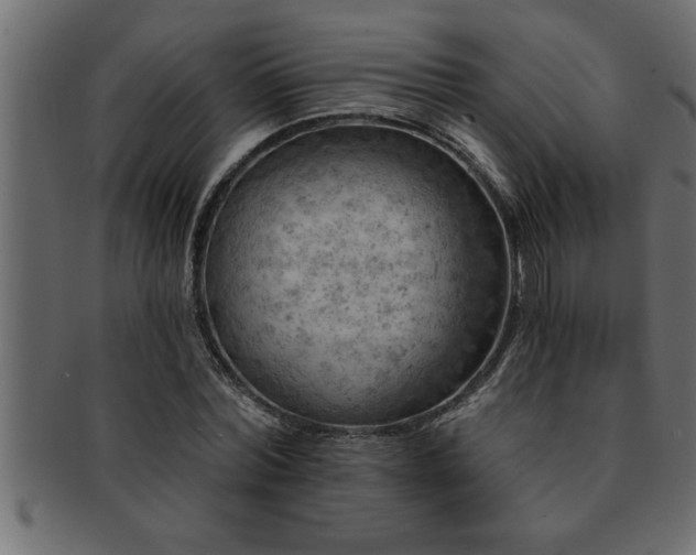 X0000093170780200709261527