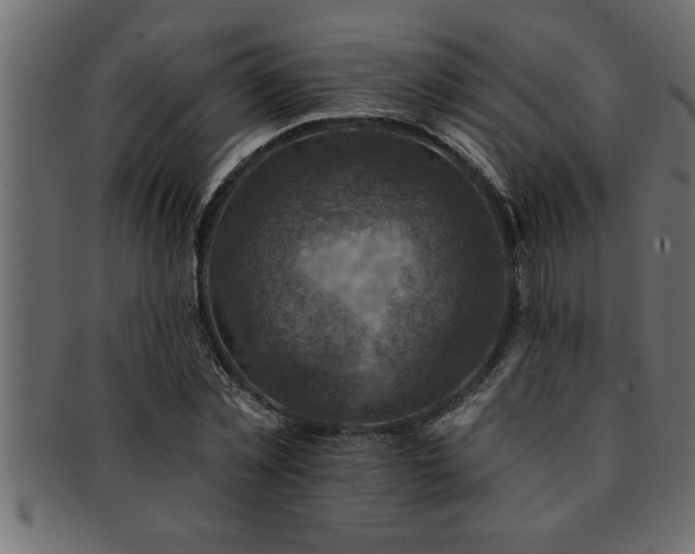 X0000093170781200709261527