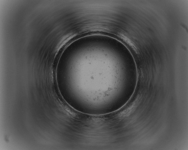X0000093170782200709261527