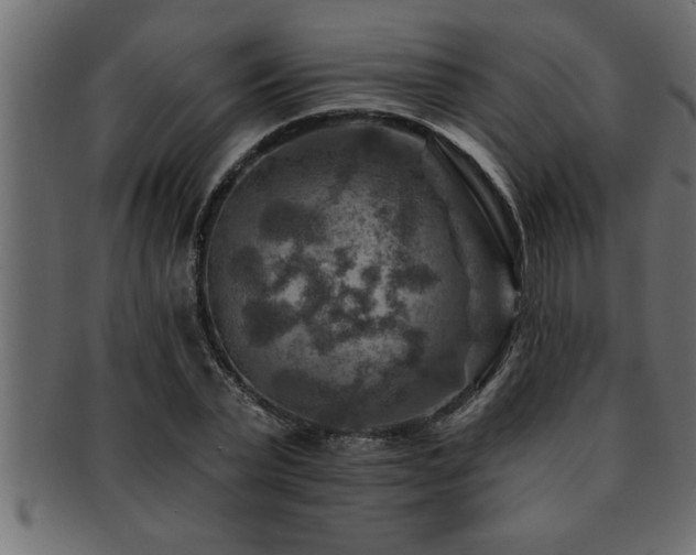 X0000093170783200709261527