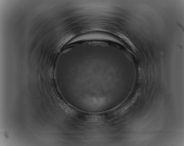 X0000093170785200709261527