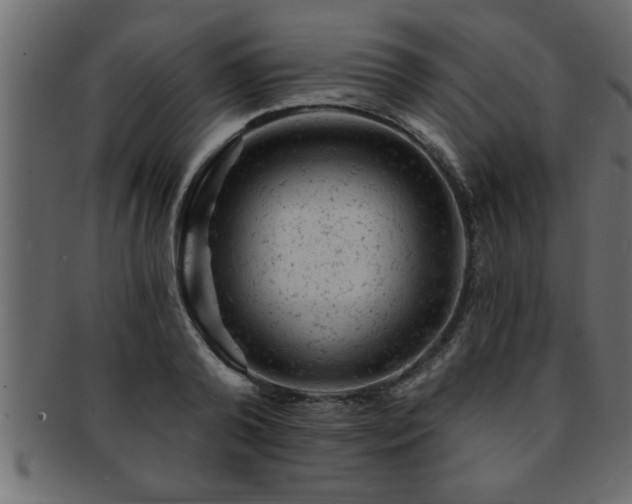 X0000093170792200709261527