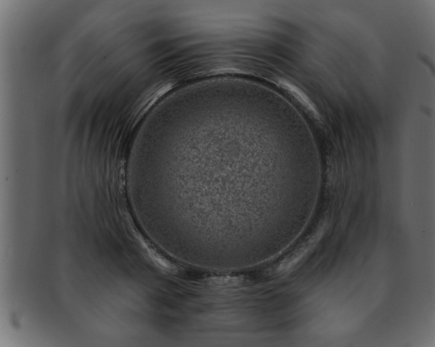 X0000093170793200709261527