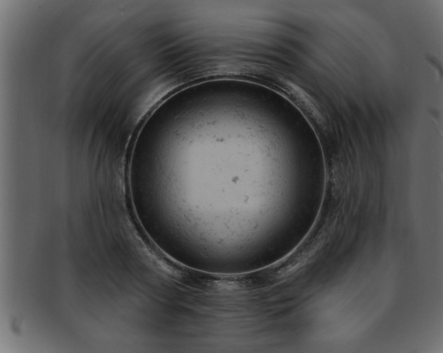 X0000093170794200709261527