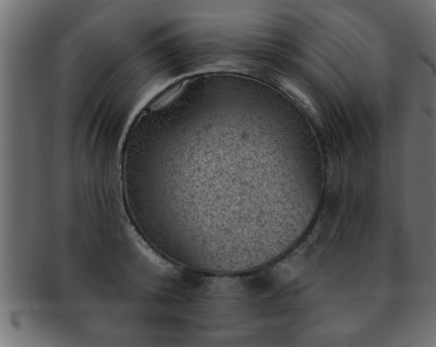 X0000093170800200709261527