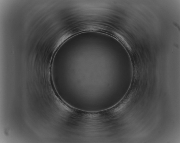 X0000093170802200709261527