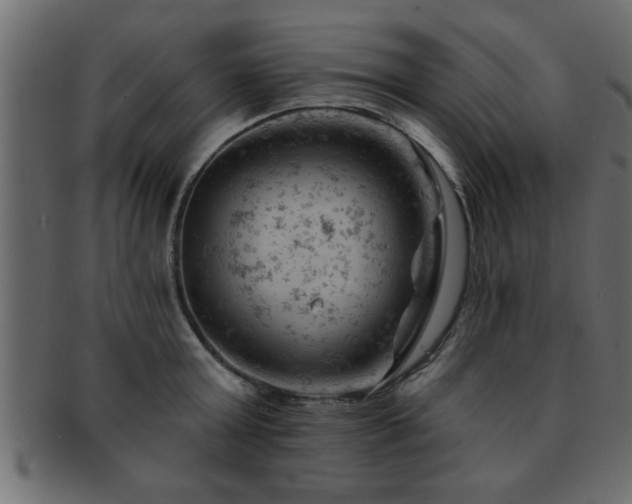 X0000093170803200709261527