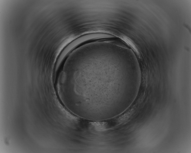 X0000093170805200709261527