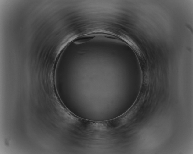 X0000093170806200709261527