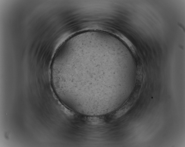 X0000093170807200709261527