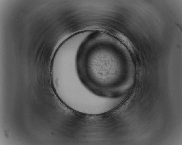 X0000093170808200709261527