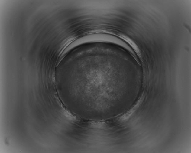 X0000093170809200709261527