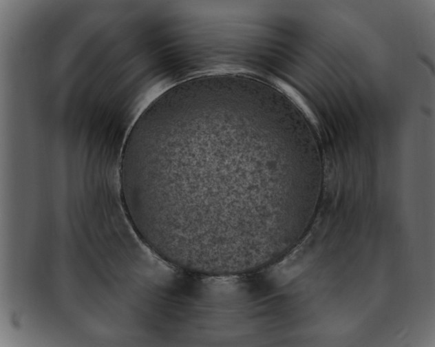 X0000093170810200709261527