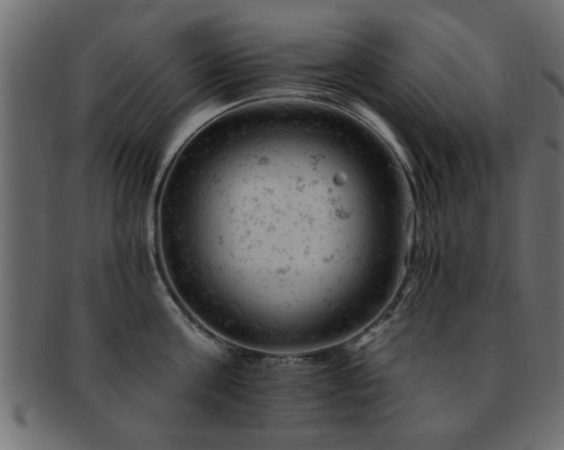 X0000093170811200709261527