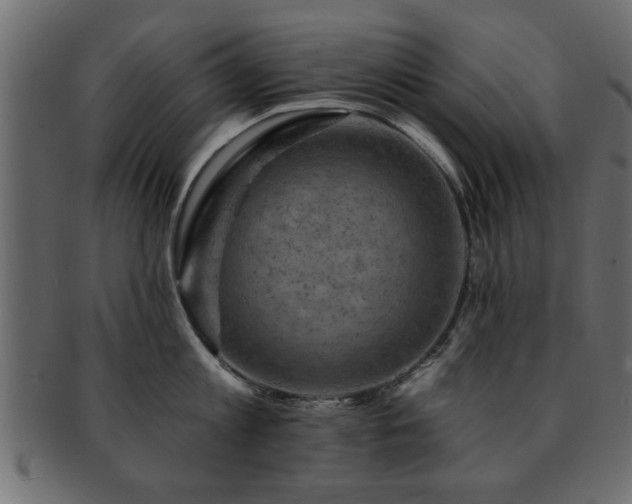 X0000093170813200709261527