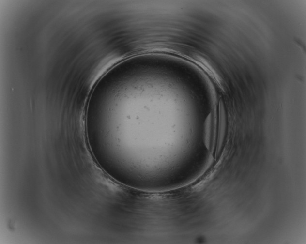 X0000093170814200709261527