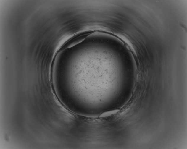 X0000093170815200709261527