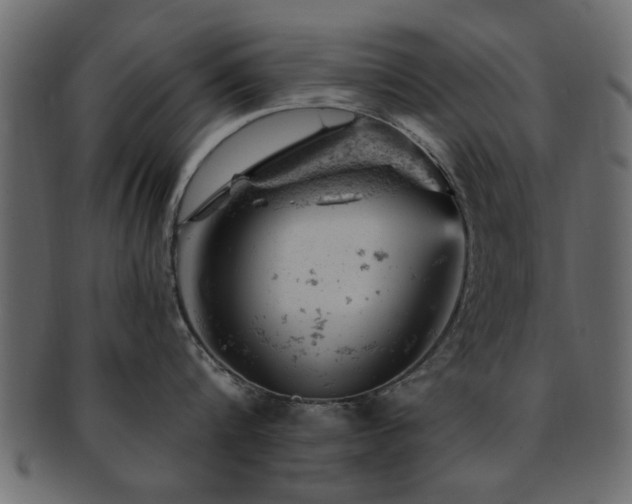 X0000093170816200709261527