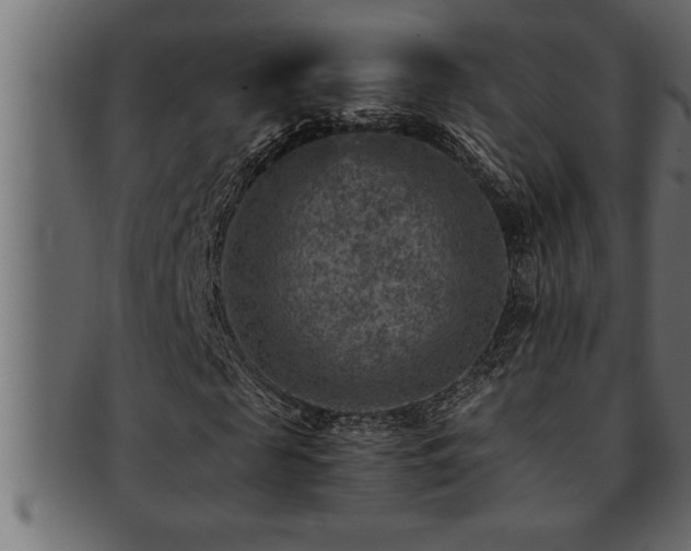 X0000093170817200709261526