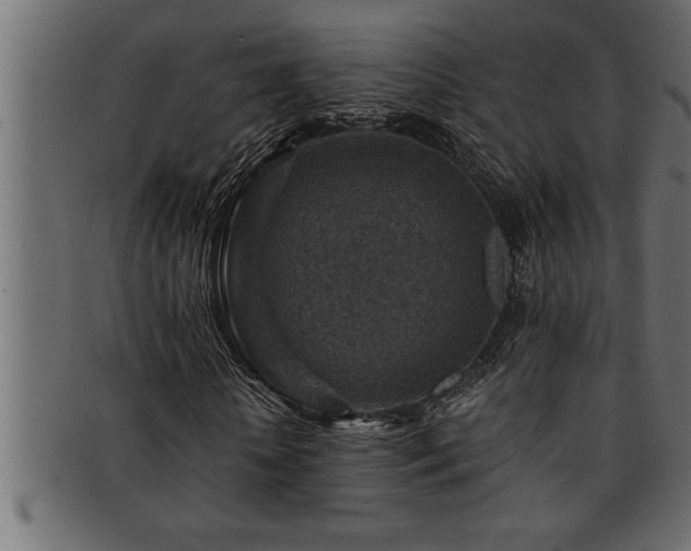 X0000093170818200709261526
