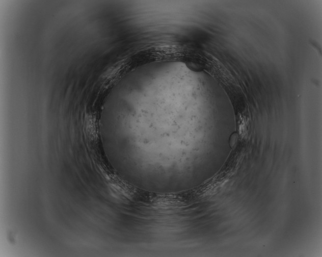 X0000093170819200709261526