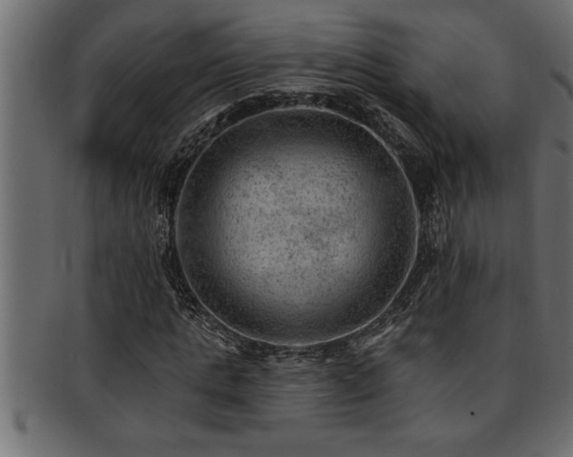 X0000093170821200709261526