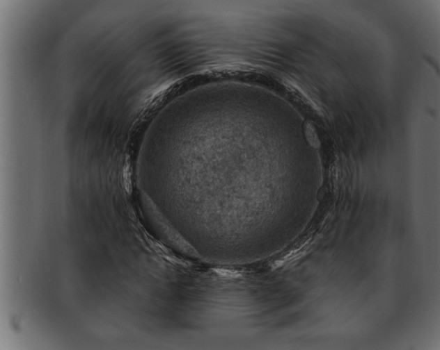 X0000093170822200709261526