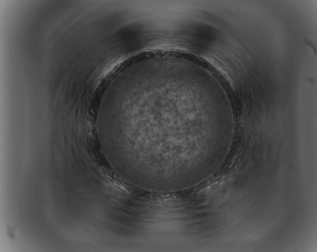 X0000093170823200709261526