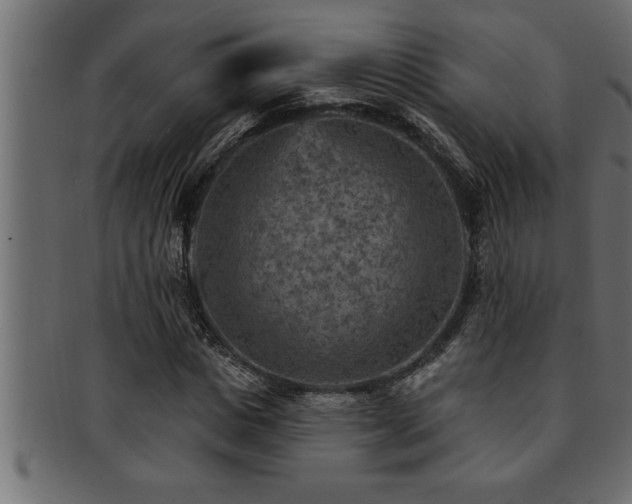 X0000093170825200709261526