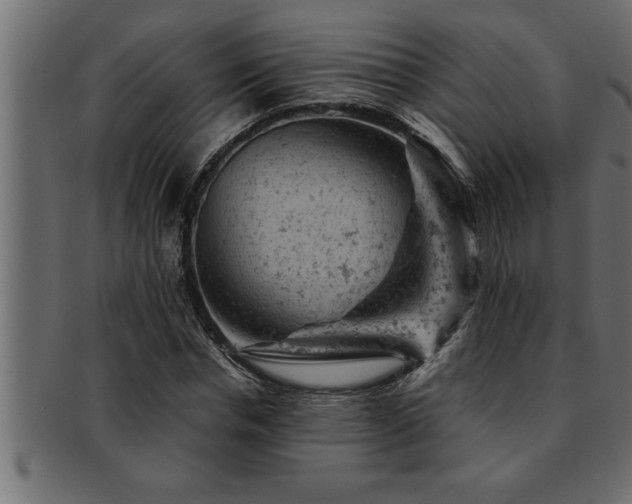 X0000093170826200709261526