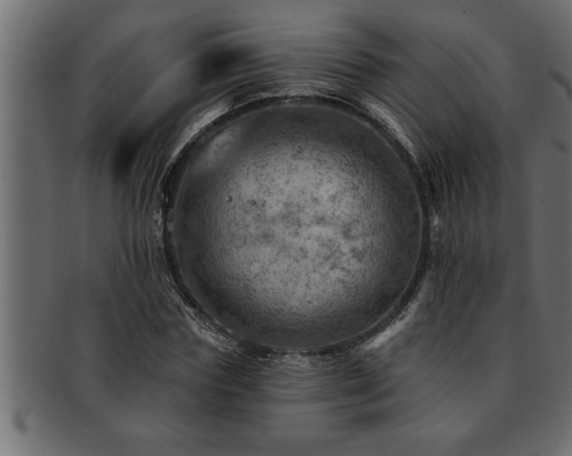 X0000093170827200709261526
