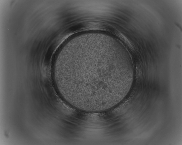 X0000093170828200709261526