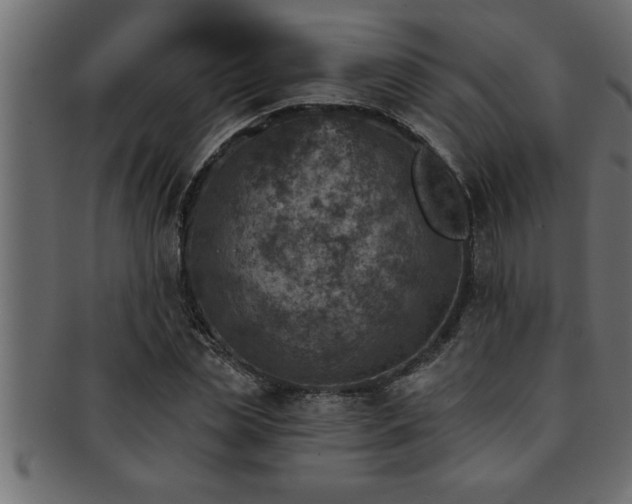 X0000093170829200709261526
